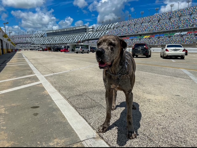 Homestead-Miami Speedway